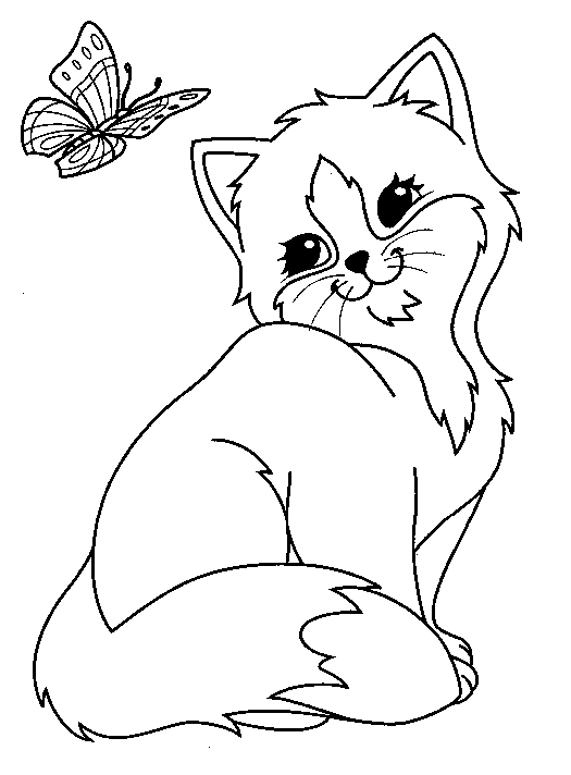 coloriage chat avec papillon